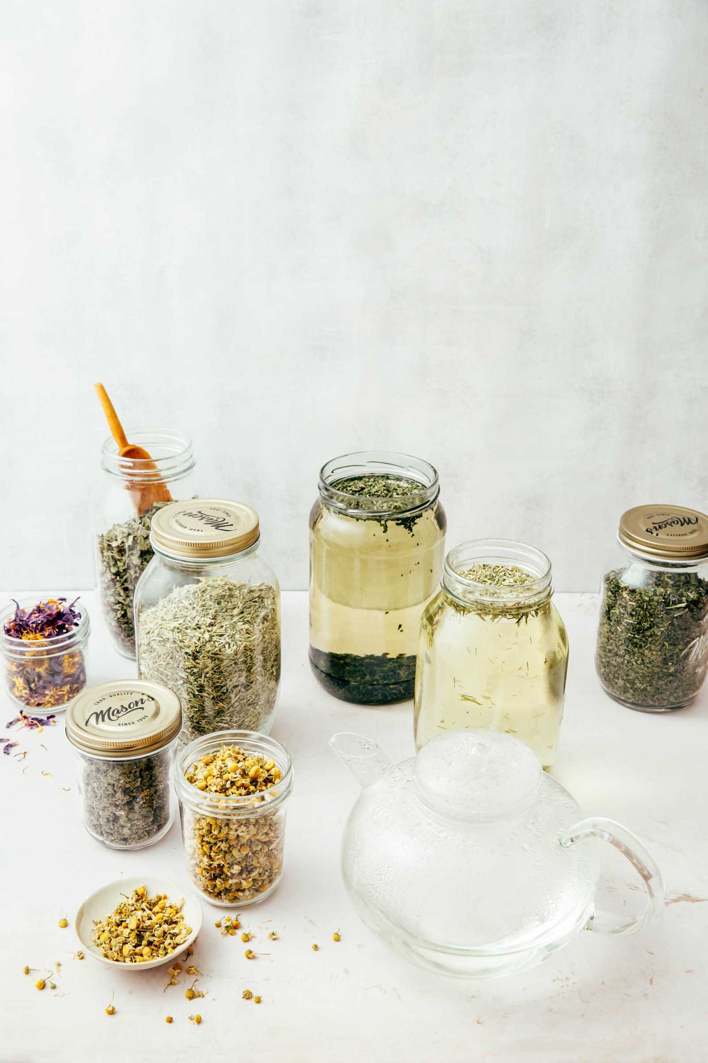 Herbal Infusion Guide