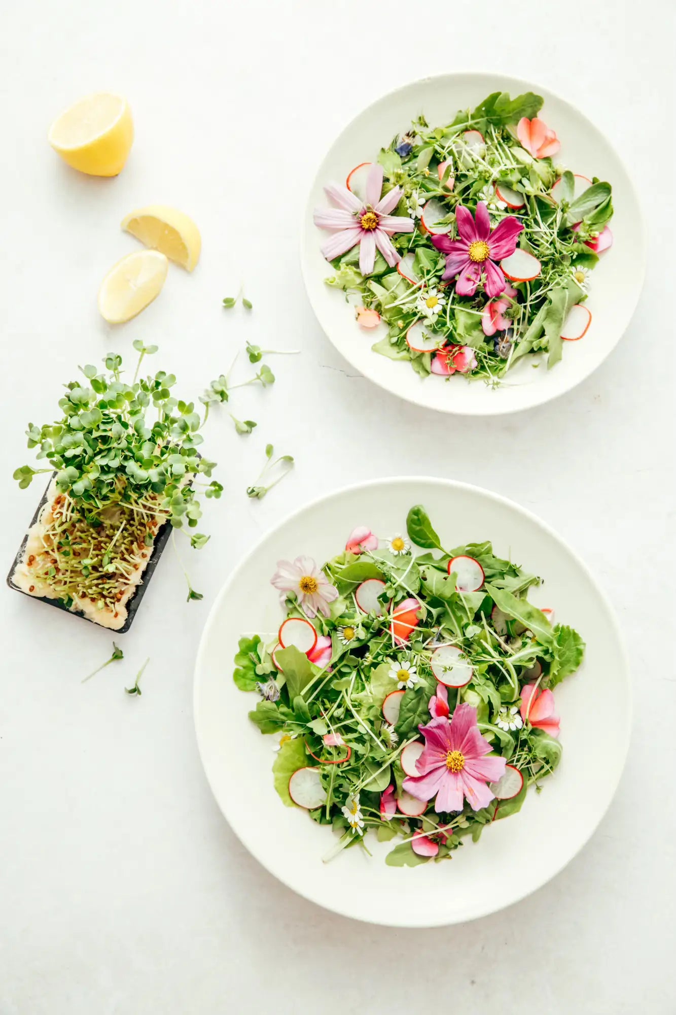 Two plates of salad with flowers on a white background